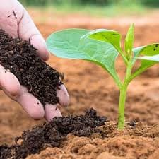 Fertilizers